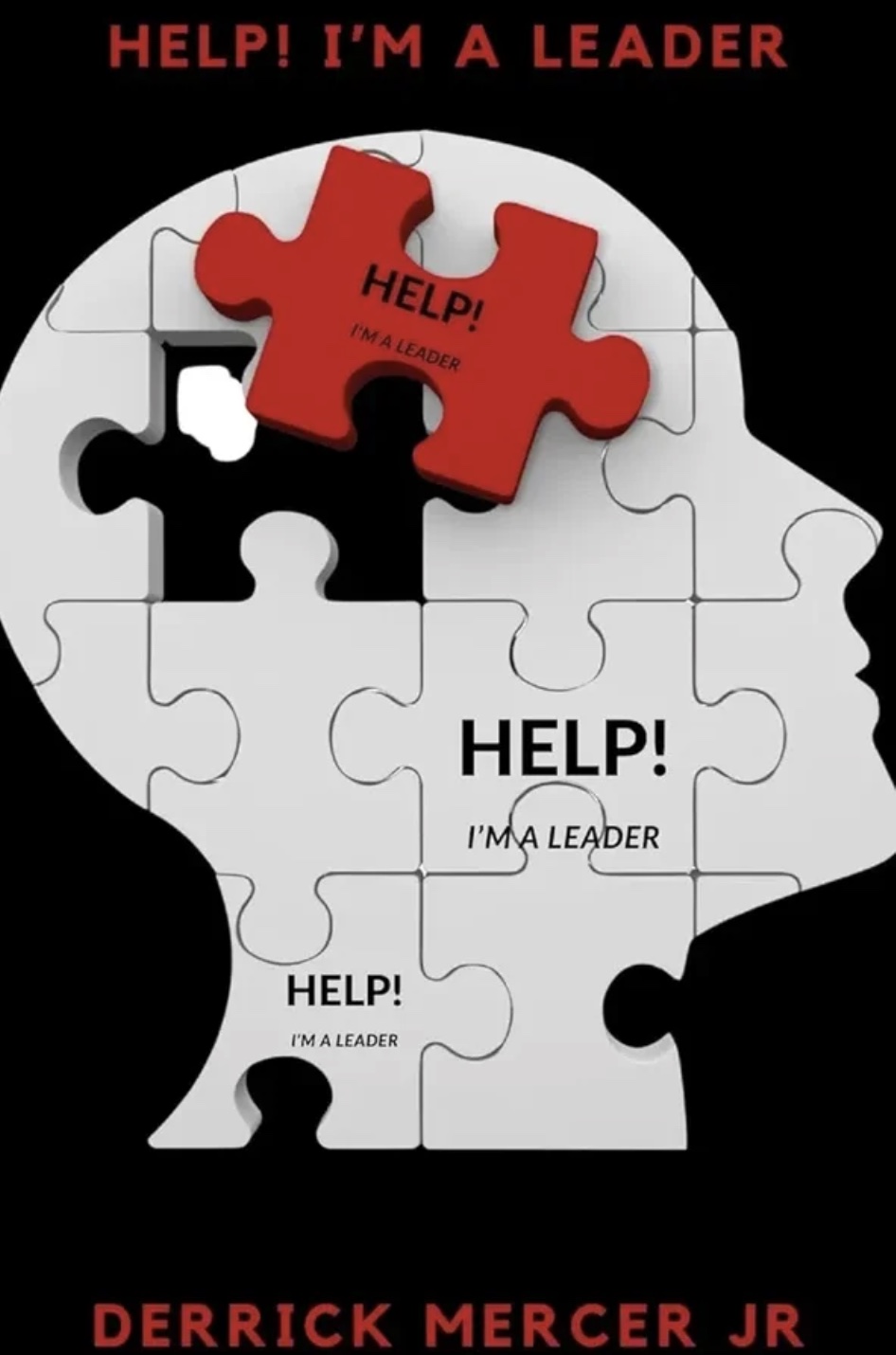 Help! I'm A Leader book cover